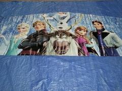 Frozen Banner Frozen Banner