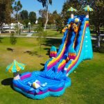 Pool Party 25' Water Slide