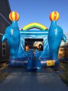 Dolphin 2 N 1 Bounce House Dolphin 2 N 1 Bounce House