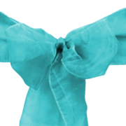 Organza Turquoise Sash Organza Turquoise Sash