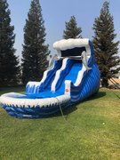 18Ft Dolphin Double Bump Water Slide 18Ft Dolphin Double Bump Water Slide