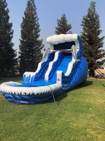 18Ft Dolphin Double Bump Water Slide 18Ft Dolphin Double Bump Water Slide