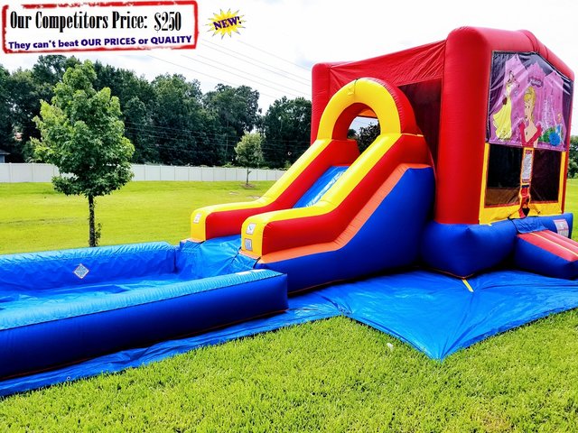 Princess Palace Theme (Water Slide Combo with Pool) Princess Palace Theme (Water Slide Combo with Pool)