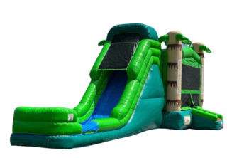 Palm Tree Combo - 8ft Slide