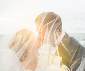 250-Person Basic Wedding Bundle