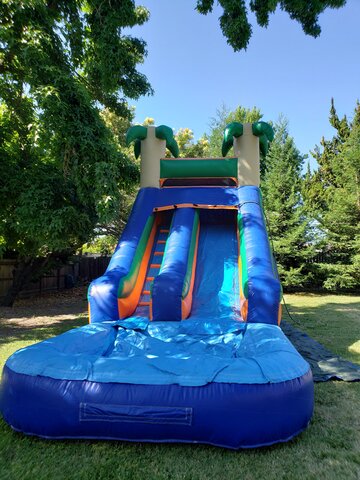Slide Water Palm Tree Slide Water Palm Tree