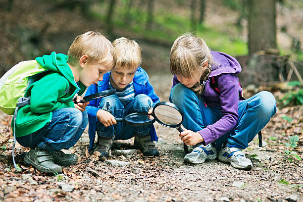 Nature Detectives Nature Detectives