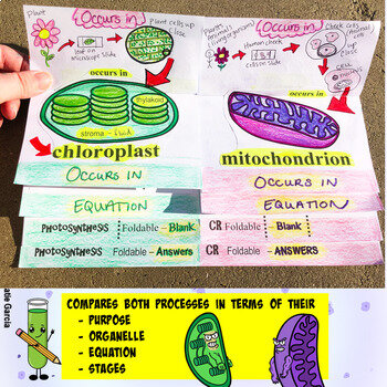 Basic Biology Basic Biology