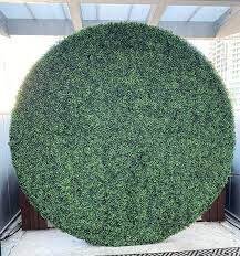 Round 7x7 Grass Wall