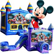 Mickey Mouse Mickey Mouse