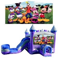 Mickey's Den Wet/Dry Combo