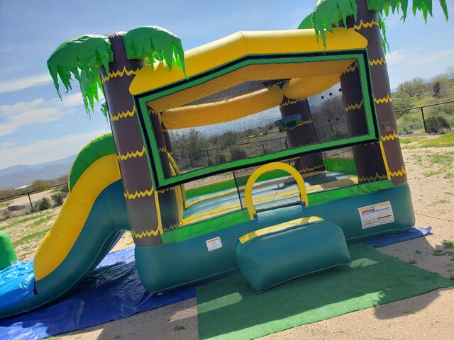 Tropical Oasis Combo Tropical Oasis Combo