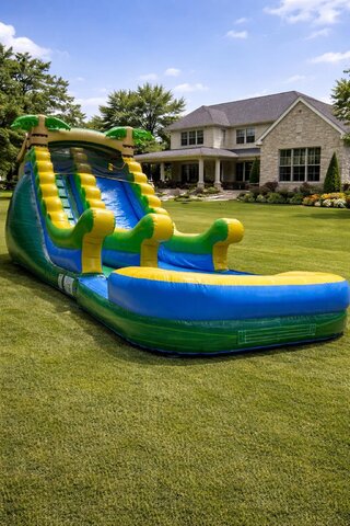 Palms dry / wet Slide with pool Palms dry / wet Slide with pool