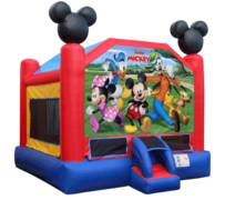 Licensed Inflatables Licensed Inflatables