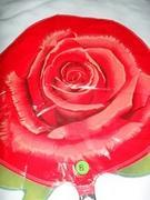 8-Rose 8-Rose
