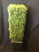 decorative bush set of 2 decorative bush set of 2