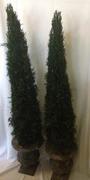 decorative pine trees set of 2 decorative pine trees set of 2