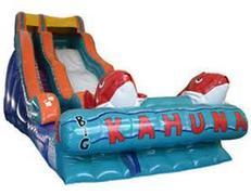 Slides Slides