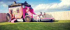 Bounce Houses and Combos Bounce Houses and Combos