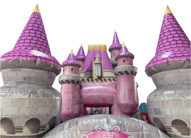 Castle turret shot of Disney Princess Toddler Playland with background removed.