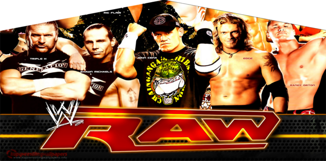 WWE Wrestling Banner-83