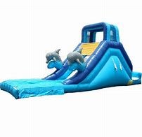 14' Dolphin Waterslide 14' Dolphin Waterslide