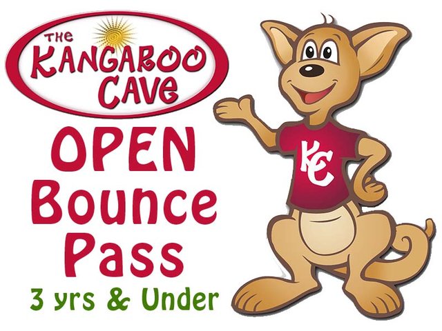 Open Bounce Pass 3 yo & Under Open Bounce Pass 3 yo & Under
