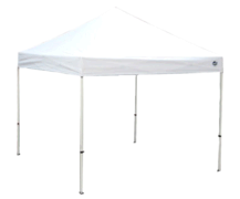 10 x 10 Pop Up Canopy 
