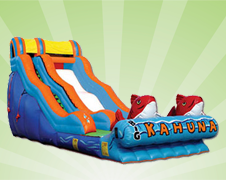 Water Slides Water Slides