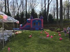 Pink and Purple Castle with Ball Pit Pink and Purple Castle with Ball Pit