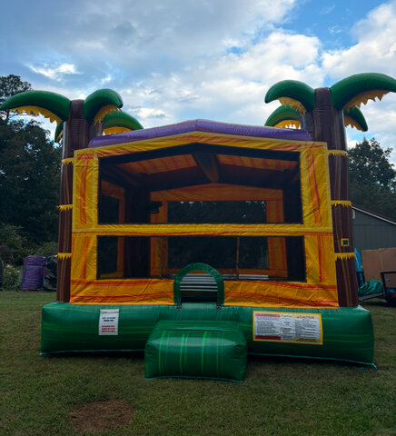 Mardi Gras 15 x 15 Mardi Gras 15 x 15