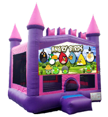 Angry Birds Pink Castle Mod