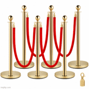 6 Stanchions (crowd control)