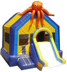 Octopus w/ Slide and BB Hoop
