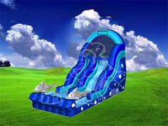 19ft Dolphin Waterslide 19ft Dolphin Waterslide