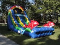19ft Rajun Cajun waterslide 19ft Rajun Cajun waterslide