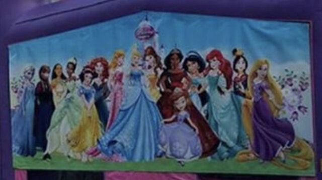 Princess’ banner
