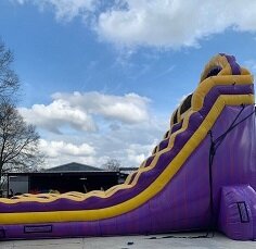24' Purple N Gold Wet 24' Purple N Gold Wet