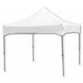 Instant Canopy 10x10 Instant Canopy 10x10