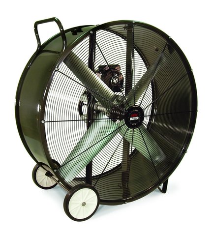 Shop Fan Shop Fan