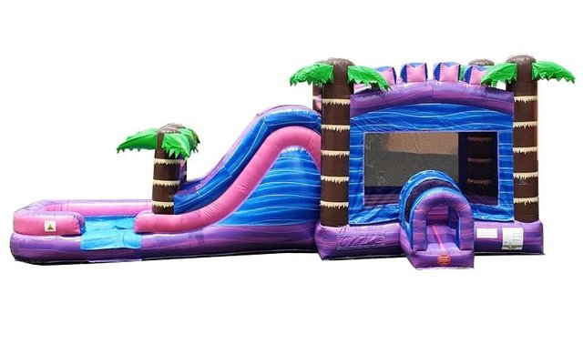 bounce house water slide combo