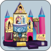 Disney Princess Backyard Combo - DrySpecial Price: starting at $225!Orig. Price: $245