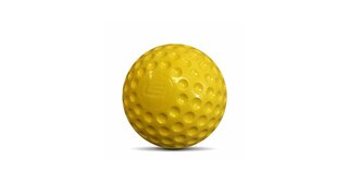 Dunk Tank Balls