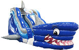 Shark Tank Single Lane