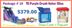 16 Ft Purple Crush Water Slide Wet 29x16
