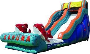 19 FT Big Kahuna Water SlideBest for ages 5+ $369