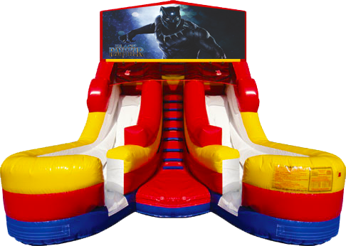 Black Panther 16' Dual Lane Dry Slide Black Panther 16' Dual Lane Dry Slide