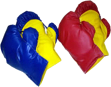 Boxing Gloves - Over Sized