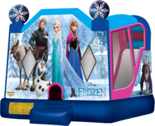 Frozen Water Slide Bounce House