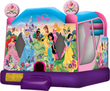 Disney Princess Water Slide Combo